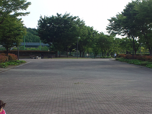 岡山 子供の遊び場～子供とお出かけ～倉敷スポーツ公園　わんぱく広場