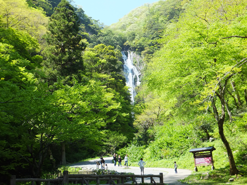 岡山 子供の遊び場～子供とお出かけ～神庭の滝
