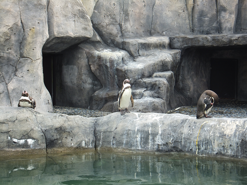 岡山 子供の遊び場～子供とお出かけ～福山市立動物園