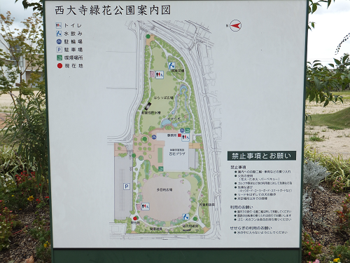 岡山 子供の遊び場～子供とお出かけ～西大寺緑花公園